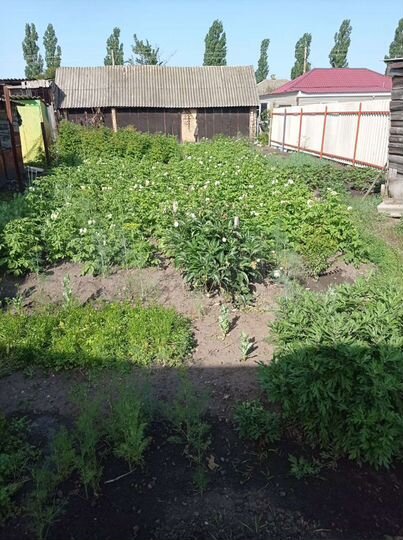 Дом 40 м² на участке 3 сот.