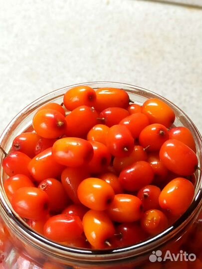 Облепиха саженцы мальчик и девочка