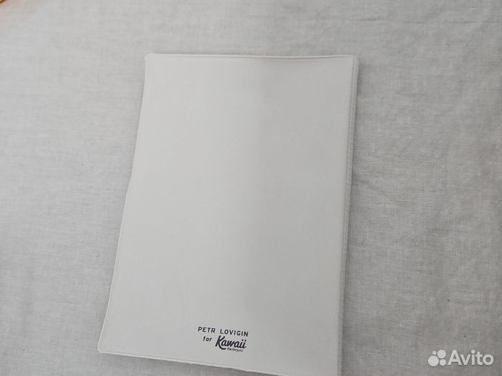 Обложка паспорта новая