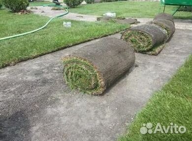 Газон рулонный гарантия
