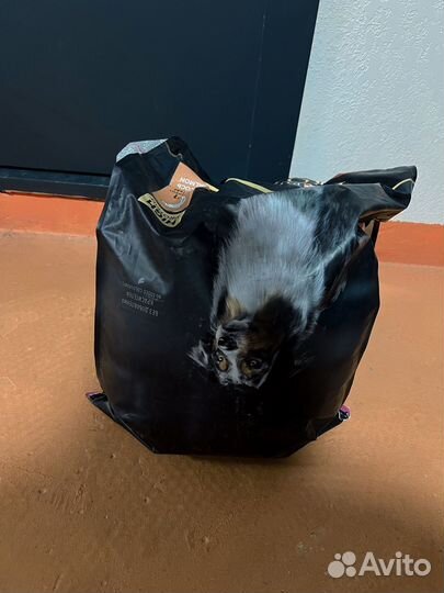 Корм для собак proplan