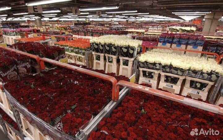 Розы оптом