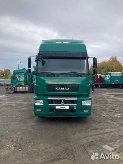 КАМАЗ 5490, 2017