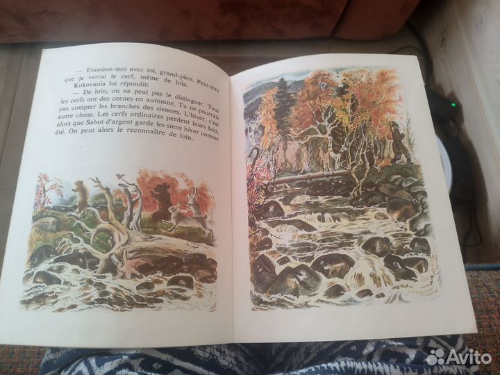 Сказка на французском языке