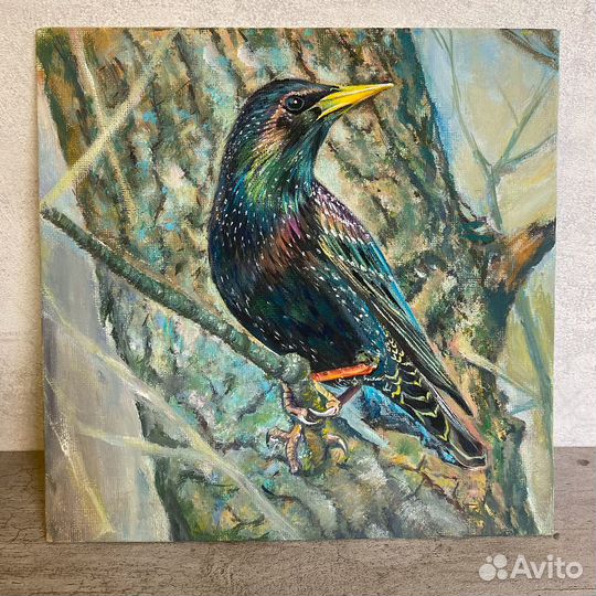 Картина Скворец. Птицы