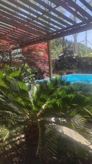 Комната 12 м², 3/3 эт.