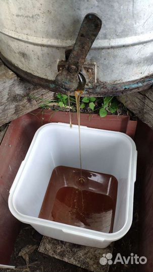 Продам мед с личной пасеки 2023г