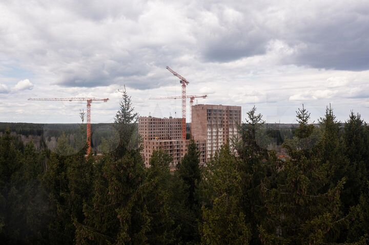 Квартира-студия, 24,5 м², 4/14 эт.