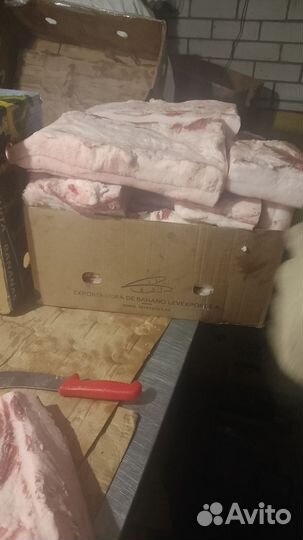 Сало Свежее