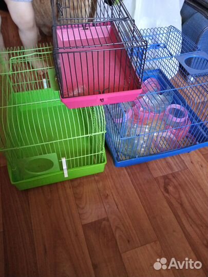 Клетки для грызунов