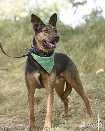 Добрые мальчишки Умка и Ричи ждут своих родителей