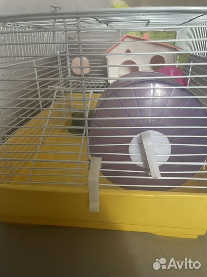 Клетка для джунгарского хомяка