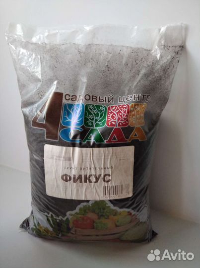 Фикус бенджамина+Опора+Земля