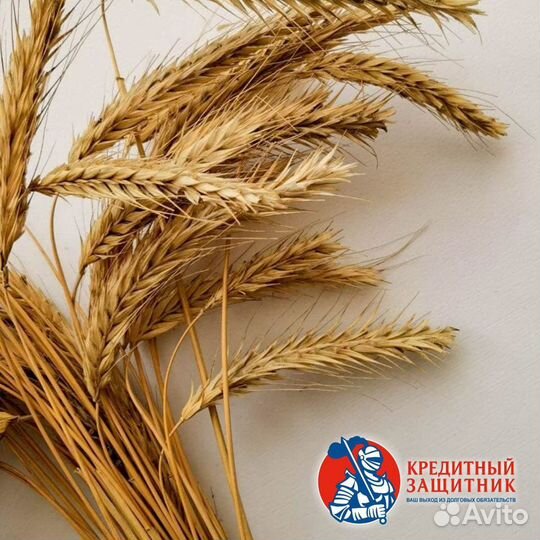 Списание долгов без банкротства