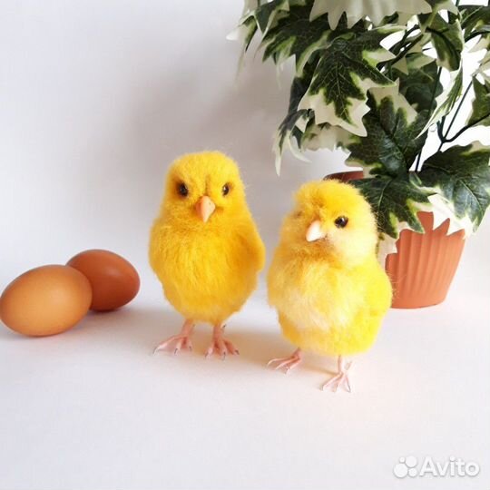 Цыплята из шерсти