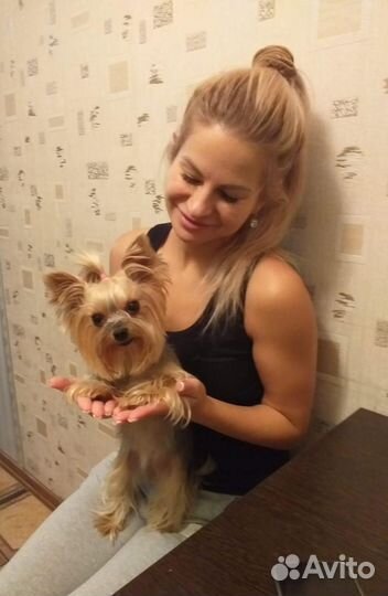 Передержка питомцев