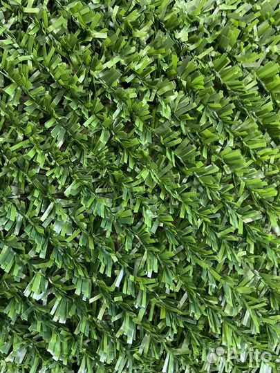 Зеленый забор / травяной забор