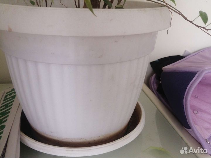 Горшок для цветов