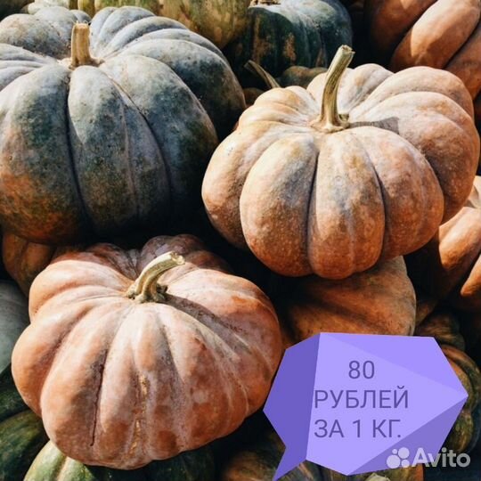 Тыква декоративная