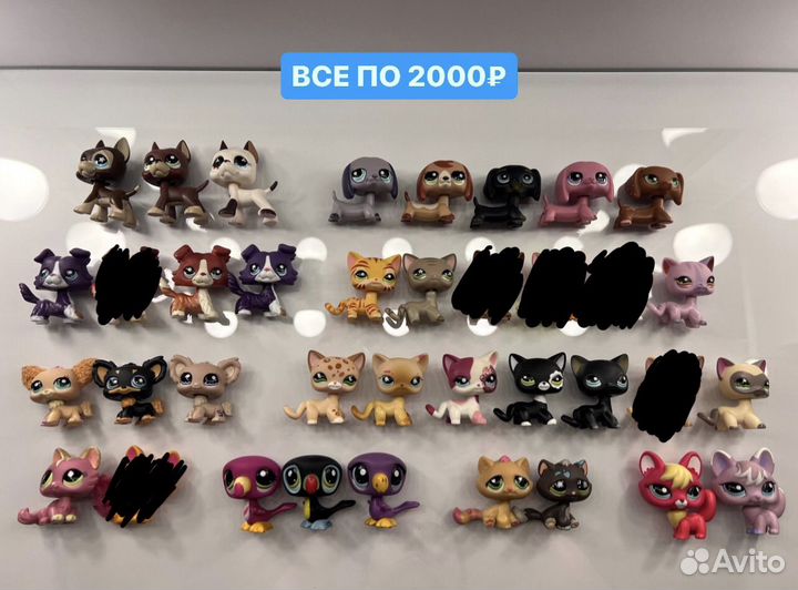 Littlest Pet Shop