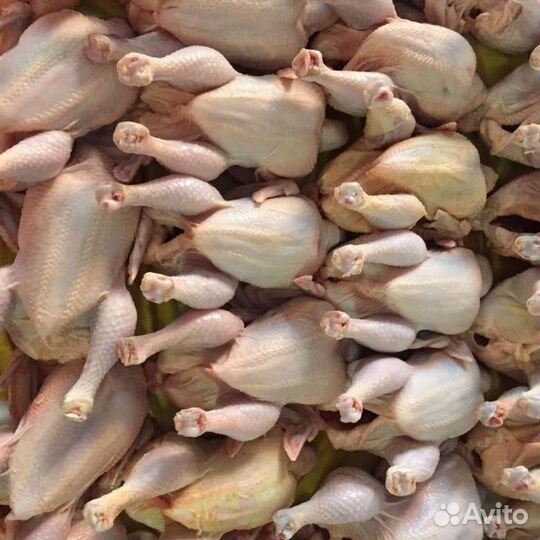 Цыплята корнишоны