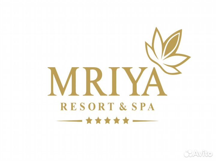 Помощник чайного мастера