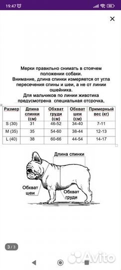 Толстовка для французского бульдога р-р S