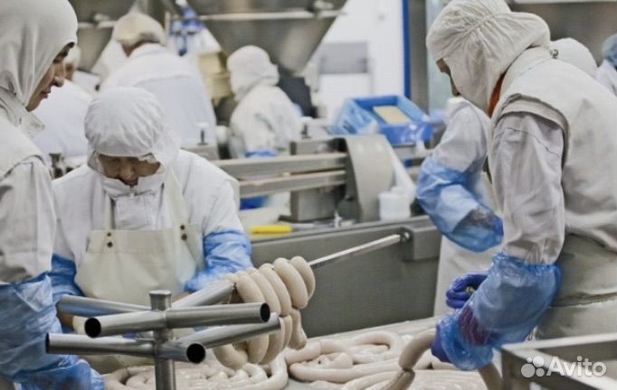 Грузчики - Разнорабочие вахта Мясокомбинат