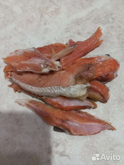 Рыбный фарш для животных