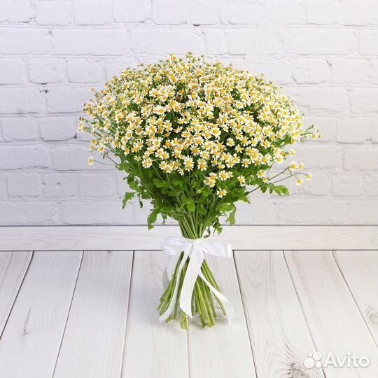 Букет цветов из Ромашек