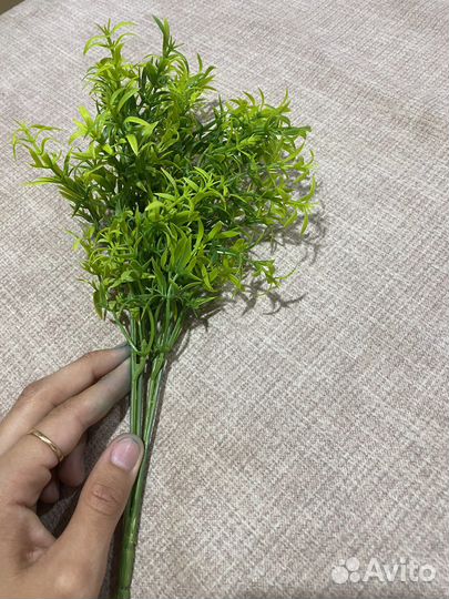 Декоративная зелень