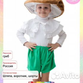 Купить карнавальный костюм гриб Боровик. Продажа детских карнавальных костюмов для мальчика