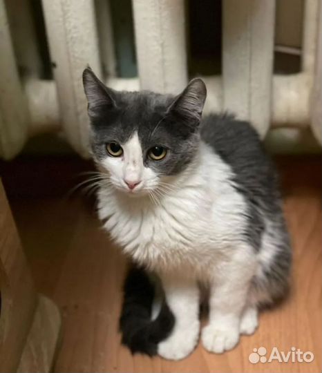 Девочка в приюте ей 4 месяца