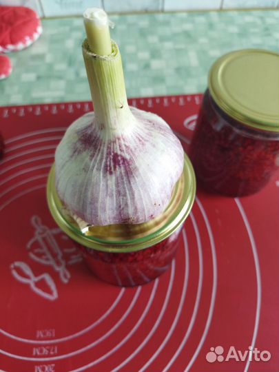 Чеснок озимый