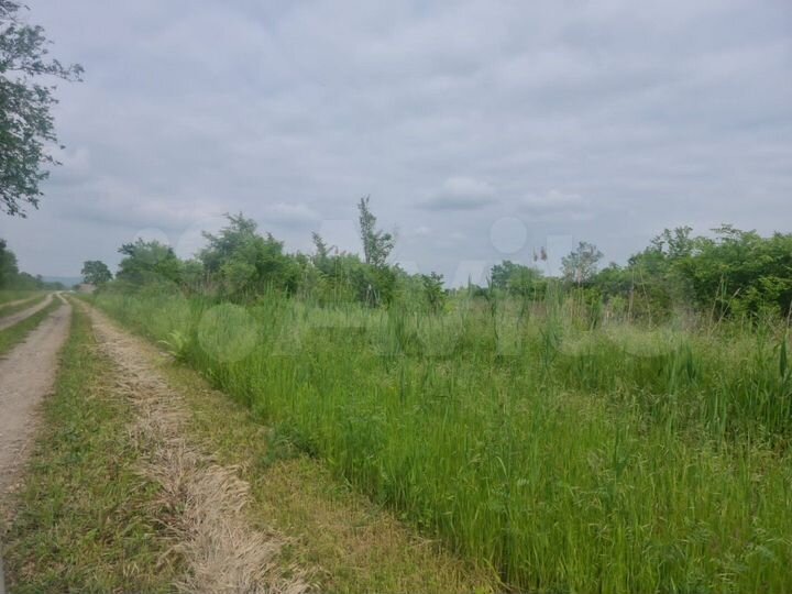 Участок 6 сот. (ИЖС)