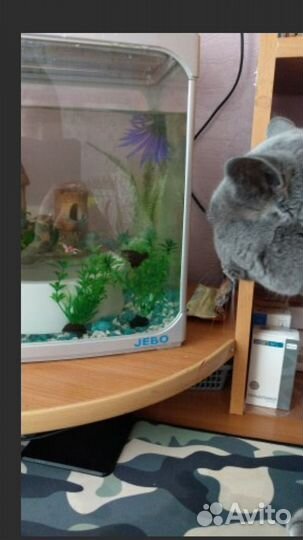 Аквариум компактный с подсветкой