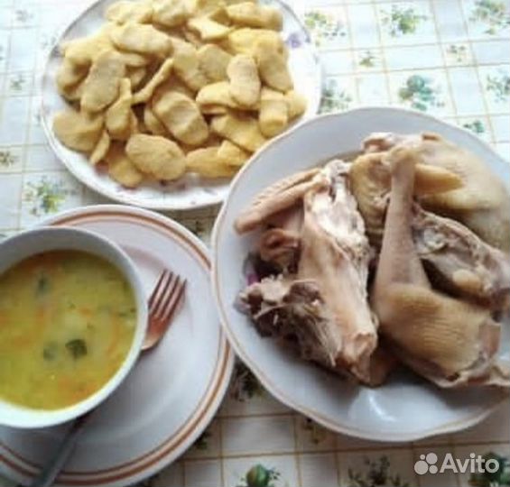 Домашние Отборные куры