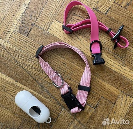 Ошейник для собак