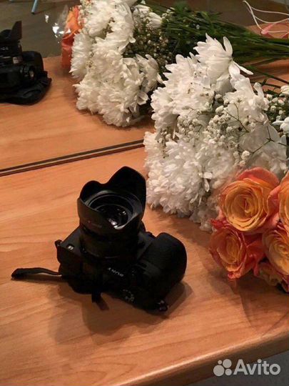 Беззеркальная камера Sony Alpha 6000 Kit 16-50mm