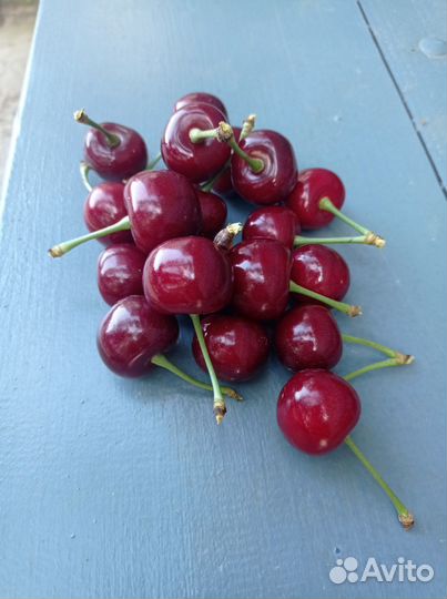 Продам Черешню