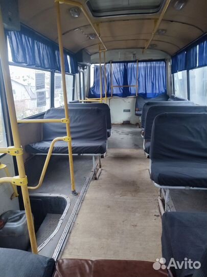 Городской автобус ПАЗ 32054, 2009