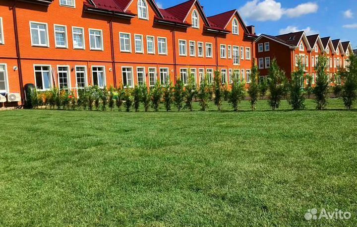 Рулонный газон с доставкой