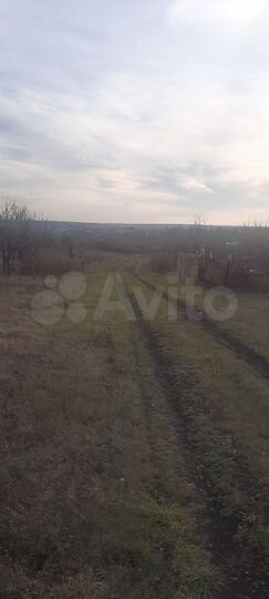 Участок 8 сот. (СНТ, ДНП)