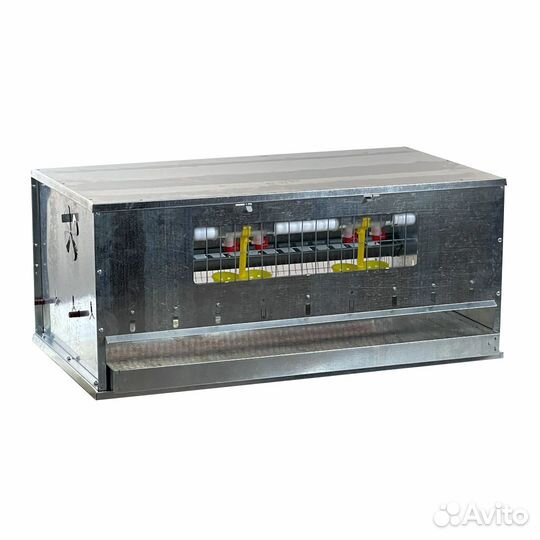 Клетка для содержания перепелов на 30 голов