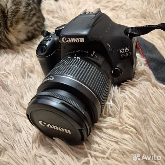 Зеркальный фотоаппарат Canon EOS 550D