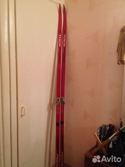 Пластиковые лыжи Тиса-Fischer