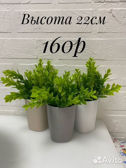 Искусственные растения (в ассортименте)