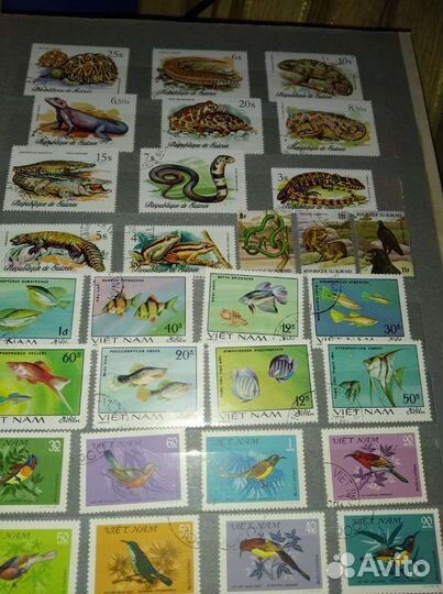 Почтовые марки СССР