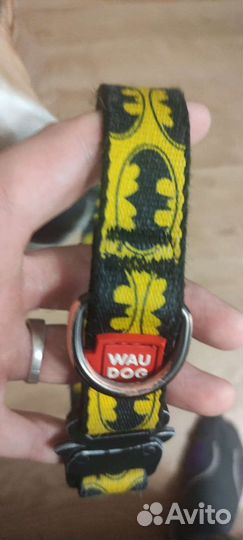 Ошейник для собак
