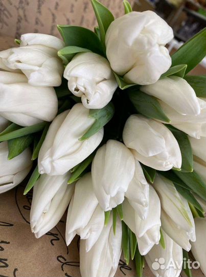 Тюльпаны и розы